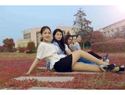 半熟男女电视剧免费观看：全球发展趋势与策略探讨