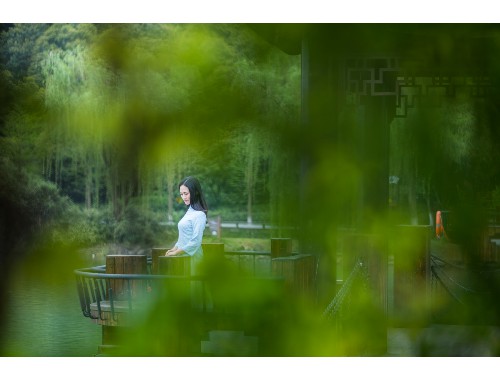 三年片大全单身妈妈题材电视产业发展分析